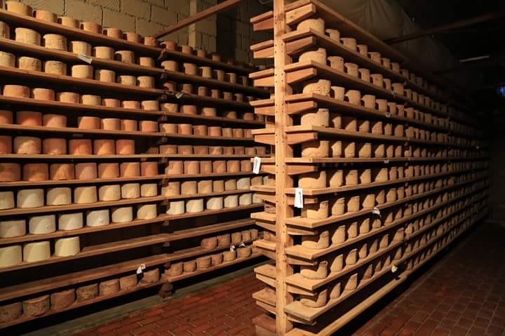 Stagionatura del formaggio Castelmagno
