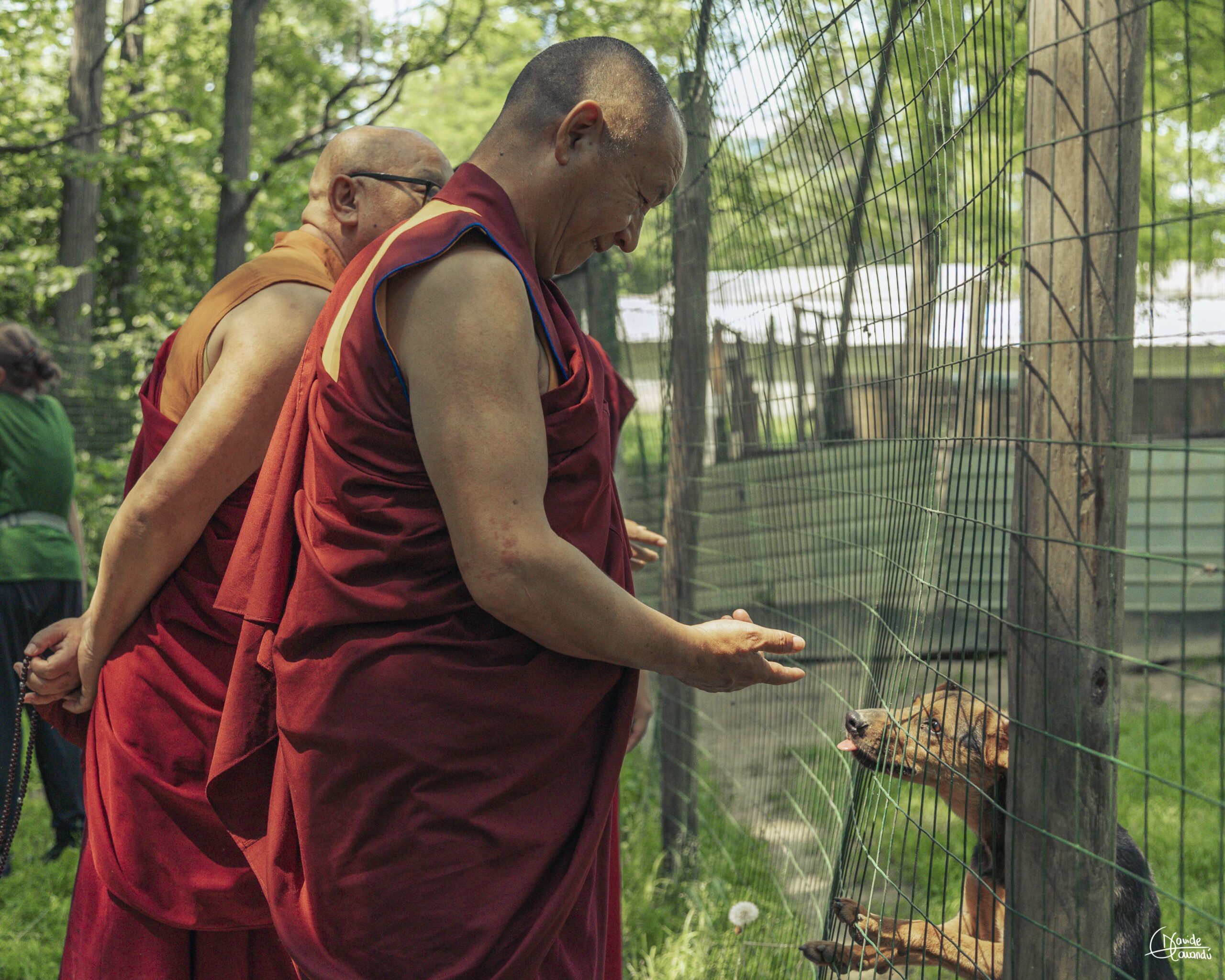 Monaci buddisti in visita al canile