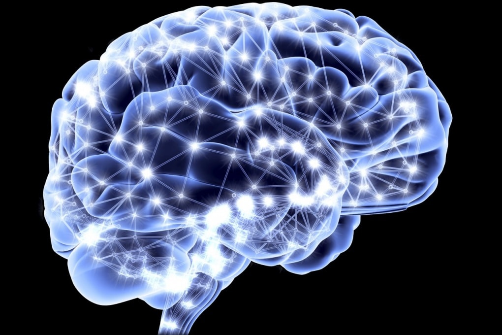 cervello, neuroplasticità
