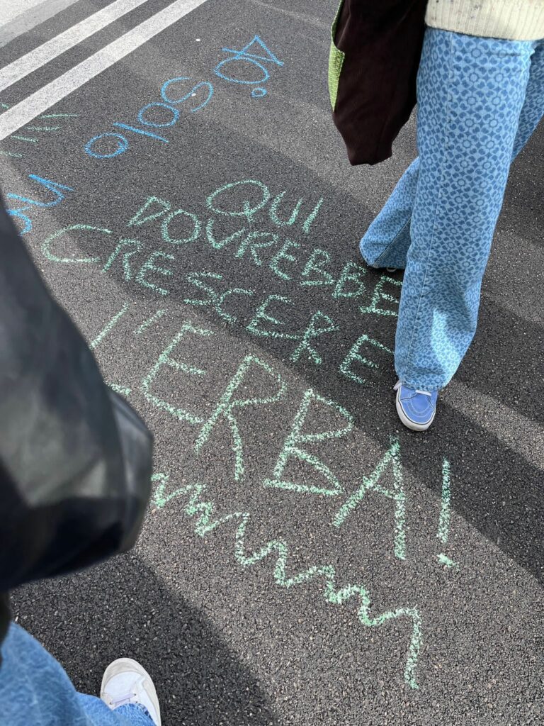 Nel corteo degli studenti del Friday For Future gli studenti scrivono messaggi con i gessetti sull'asfalto in corso Nizza "Ui dovrebbe esserci l'erba"